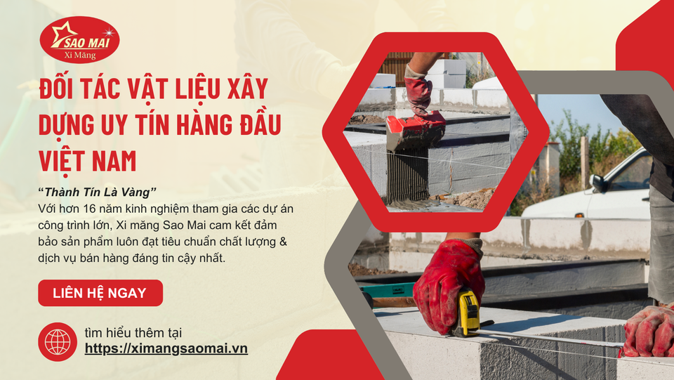 lĩnh vực hoạt động